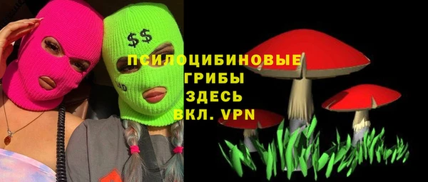 бошки Нязепетровск