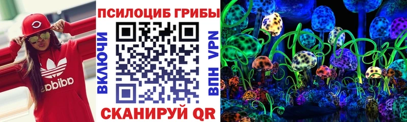 Галлюциногенные грибы Psilocybe  Новосибирск 