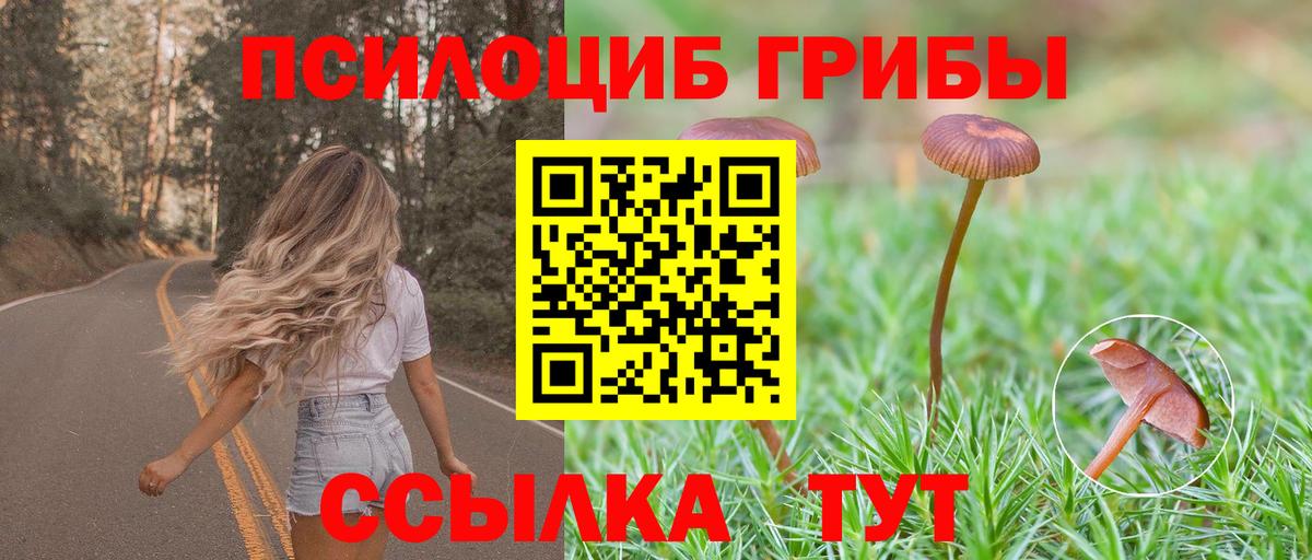 Галлюциногенные грибы ЛСД  Вход с VPN  Новосибирск 