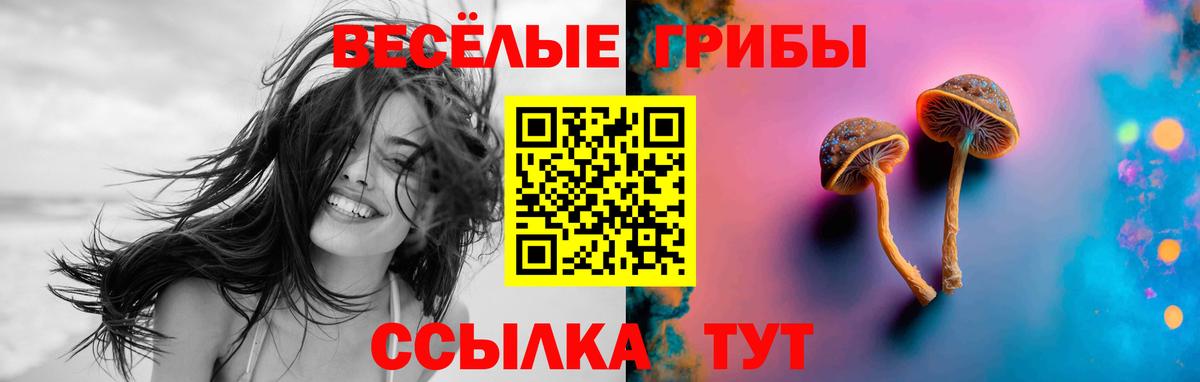 Галлюциногенные грибы MAGIC MUSHROOMS  Новосибирск 